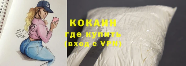 эйфоретик Покачи